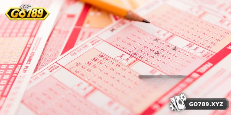 Khám phá thông tin về dàn đề bất tử